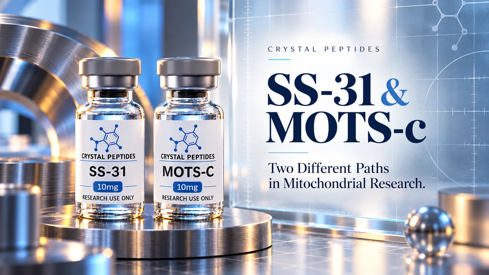 Ilustrație editorială de produs: SS-31 / MOTS-c — Crystal Peptides.